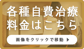 各種自費治療料金